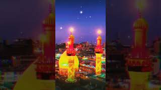 Mera moula Hazrat imam Hussain qawwali allahuakbar love shortvideo shorts happy hazratali [upl. by Christmas]