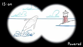 Canon IS Binoculars Explained Whiteboard Animation [upl. by Grier]