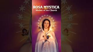 Feast of Our Lady of Rosa Mystica ourlady rosamystica mothermary feast swprayer shorts [upl. by Esten]