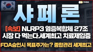 샤페론 주가 전망 속보 NLRP3 염증복합체 27조 염증치료시장 다먹는다여기까지 갑니다 [upl. by Yentuoc]