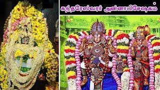 மீனாட்சி சுந்தரேஸ்வரர் கோவில் அன்னாபிஷேகம் 2024  Meenakshi Sundareswarar Temple Annabhishekam [upl. by Cahn]