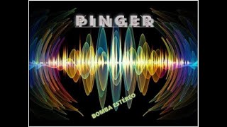 Chalster  Pinger Official Audio [upl. by Ydnyc]