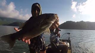 Watauga Lake Spotted Bass [upl. by Kir541]