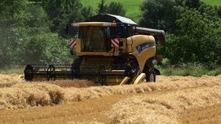 Mähdrescher kaputt  Ein Stein verfängt sich in einem Mähdrescher [upl. by Nemzzaj]