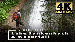 Lake Sankenbach amp Waterfall  Black Forest  Baiersbronn  Sankenbachsee amp Sankenbach Wasserfall [upl. by Suiremed]