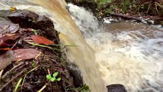 Birkey Burn Waterfall 181123 waterfall northumberland hexham [upl. by Leviram572]