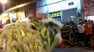 Wah Ngai Lion Dance at Honolulu Hawaii Chinatown Year of the TIger store blessings [upl. by Ieluuk728]