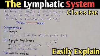 Lymphatic System  Lymph Nodes  Class 11 Biology [upl. by Anyg435]