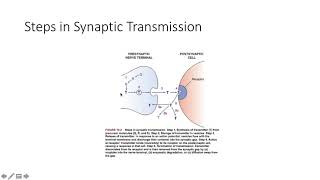 Introduction to Neuropharmacology [upl. by Retxab]