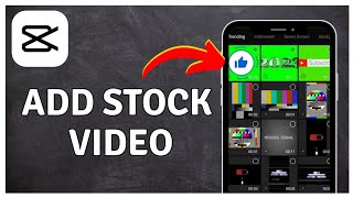 How to Use Stock Video in CapCut [upl. by Legna]