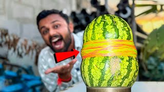 watermelon versus rubber band રબર થી તરબૂચ ફૂટે [upl. by Salvadore521]