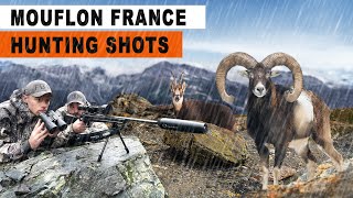 Chasse au Mouflon  Chamois  France 2024 [upl. by Ecinehs]