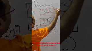 Mechanism of heparin anticoagulant lowmolecularweightheparin heparin [upl. by Jenks840]