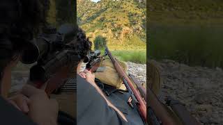 Automatic SKS Mounted With Scope [upl. by Moreland]