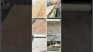 Plywood Manufacturer  ROCPLEX Quality Innovation and Sustainability at Competitive Prices [upl. by Rebmik111]