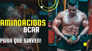 Aminoácidos bcaa Para Que Sirven [upl. by Yrbua]