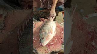 Amazing Huge Tilapia Fish Skinning amp Chopping Live In Bangladesh  shorts fish fishing food [upl. by Eentruoc638]