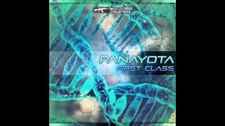 Panayota First Class  Psydzu Lidzu Mix [upl. by Tfat606]