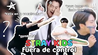 Momentos divertidos de STRAY KIDS [upl. by Rednave881]