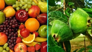 ARVORES FRUTÍFERAS PARA VASO  PARTE 6  ESSE LOCAL É O PARAÍSO PARA QUEM GOSTA DE PLANTAS [upl. by Kelsi]