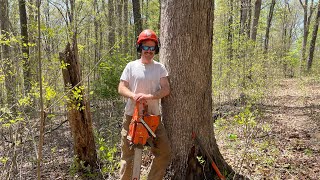 Explaining Some of My Veneer White Oak Cutting Technique 46 [upl. by Ahsilla82]