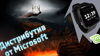 АД замерзает Дистрибутив Linux от Microsoft Умные Open Source часы PineTime Linux Mint 202 [upl. by Marillin533]