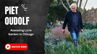 Assessing Lurie Garden With Piet Oudolf Episode 179 [upl. by Holsworth]