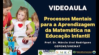 Sete Processos Mentais para a Aprendizagem Matemática na Educação Infantil [upl. by Ettenhoj531]