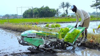 Sekarang Tanam Padi Pakai Mesin Penanam Canggih Transplanter Indo Jarwo [upl. by Madelon]