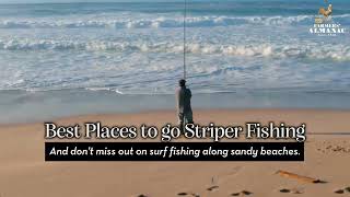 Striper Fishing How to Catch Striped Bass from Shore [upl. by Dugan]