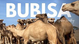 TRAVEL VLOG Experience a Gabra Wedding  Wind  Rich Culture  The Camel Nomads of Northern Kenya [upl. by Bridie339]