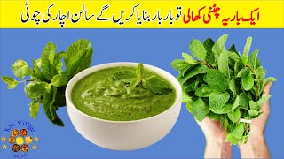 Pudine Ki Chatni Banane Ka Tarika  Pudine Ki Chatni Recipe  How To Make Pudina Chutney [upl. by Suirauqed]