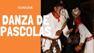 DANZA DE PASCOLAS SONORA  FOLKLORE MEXICANO [upl. by Sidonnie]