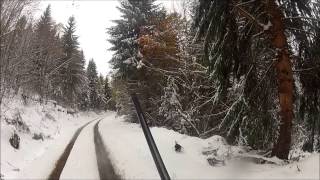 battue au sanglier dans la neige saison 20132014 tir dun sanglier wild boar hunting go pro hd [upl. by Kazmirci]