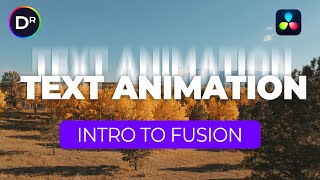 Beginner Text Animation in DaVinci Resolve amp Fusion Text Animation [upl. by Madlen873]