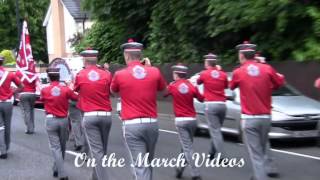 Randalstown Sons of Ulster  Lisnamurrican parade 18062014 [upl. by Messing]