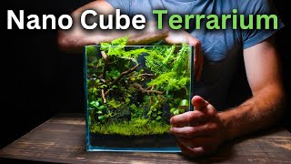 I Built An ECOSYSTEM Inside a Nano Cube Tank Step By Step Tutorial [upl. by Sadinoel]