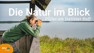 So seid Ihr richtig in der Natur unterwegs – mit den FÖJlern im Naturpark Stettiner Haff [upl. by Traver]