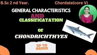 Chondrichthyes classification up to order bsc 2nd yearchondrichthyeschordatesbsc2ndyearzoology [upl. by Aisitel]