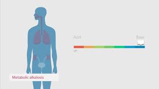 Cómo entender el equilibrio ácidobase [upl. by Aitrop]