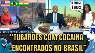 Mídia Internacional Tubarões Com Cocaina Encontrados No Brasil [upl. by Eiramlehcar]