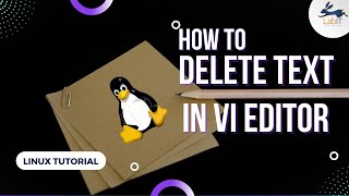 How to delete Text in VI editor  Vi editor tutorial  Linux Tutorial [upl. by Nnylg]