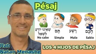 PARASHAT METZORA PESAJ  LOS 4 HIJOS DE LA HAGADA DE PESAJ RAB NATAN MENASHE [upl. by Janka334]