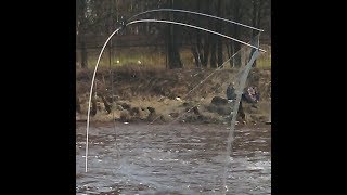 Рыбалка на ПАУКА в начале апреля в малых протоках [upl. by Yemrots]