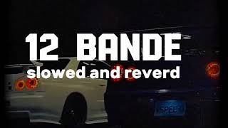 12 bande slowed and reverb full song [upl. by Loggia926]