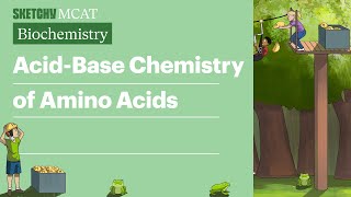 Acid Base Chemistry of Amino Acids  Sketchy MCAT Biochemistry [upl. by Treboh]