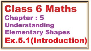 Ex51 Introduction Chapter5 Understanding Elementary Shapes  Ncert Maths Class 6  Cbse [upl. by Guria404]