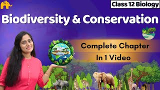 Biodiversity and Conservation Class 12 Biology One shot  CBSE NEET  NCERT Chapter [upl. by Millan]