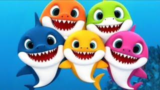 Baby shark songEnglish songs for kids  English song  kids English song kidssongs [upl. by Alenairam]