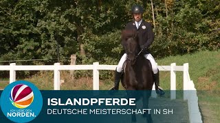 Deutsche Islandpferde Meisterschaft in Ehndorf bei Neumünster [upl. by Bertram608]